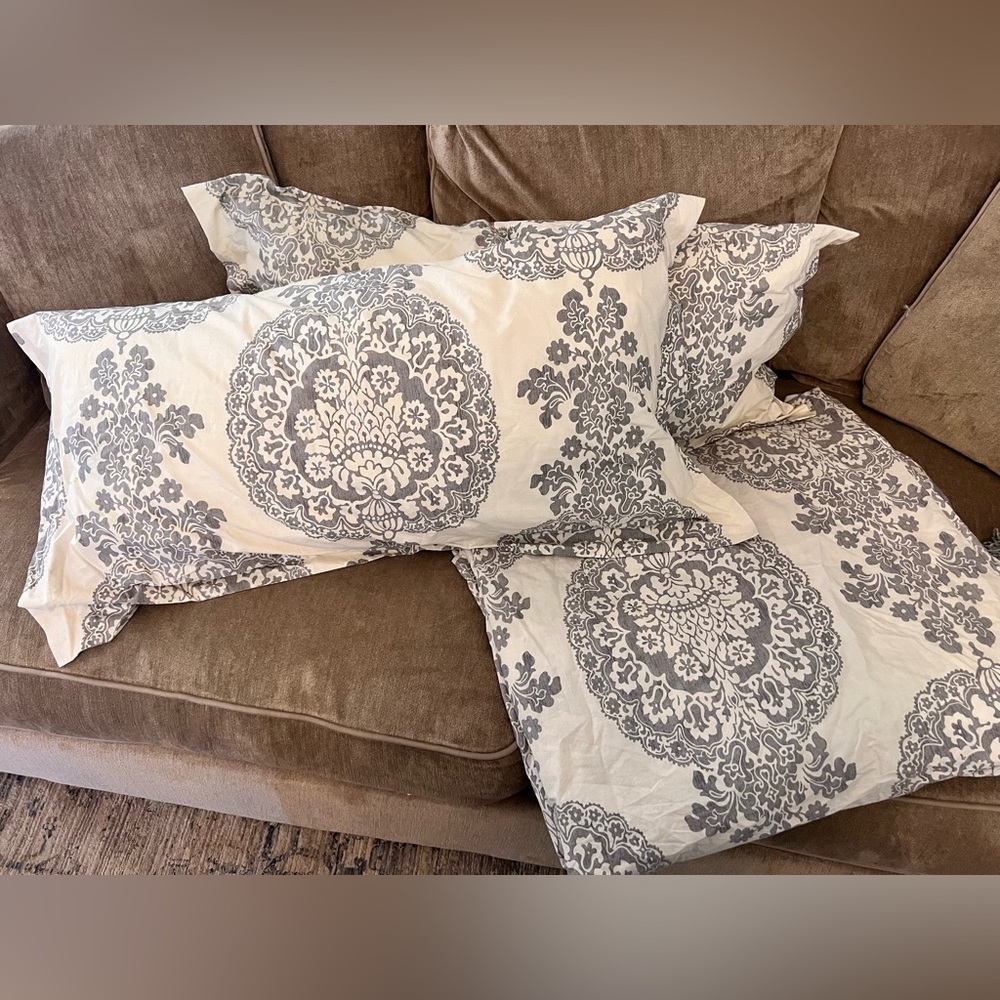 Pottery Barn Lucianna King Size Duvet with 2 shams